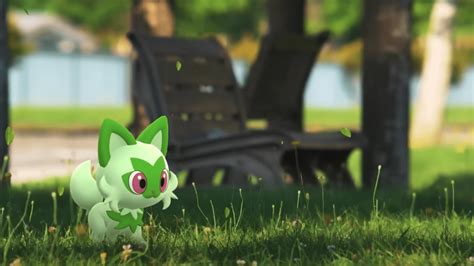 sprigatito shiny|Guide